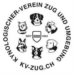 KV Zug